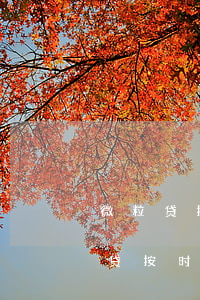 微粒贷按时还款会逾期吗知乎，【解答】微粒贷按时还款是否会逾期？知乎用户分享经验与见解