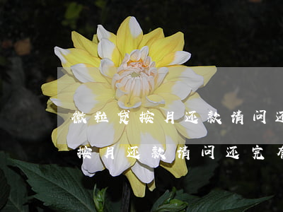 微粒贷按月还款请问还完有余额不-微粒贷按月还款请问还完有余额不能借吗