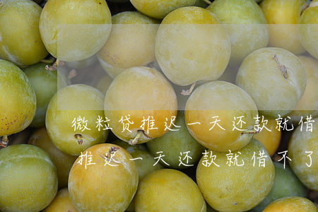 微粒贷推迟一天还款就借不了钱了-微粒贷推迟一天还款就借不了钱了吗