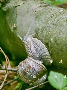 微粒贷提前两期还款为何借不出来-微粒贷提前两期还款为何借不出来了