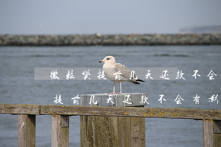 微粒贷提前几天还款不会有影响吧-微粒贷提前几天还款不会有影响吧吗