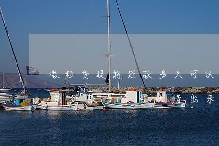 微粒贷提前还款多久可以借出来-微粒贷提前还款多久可以借出来钱