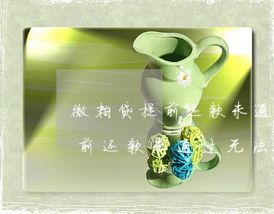 微粒贷提前还款未通过无法借钱-微粒贷提前还款未通过无法借钱怎么办