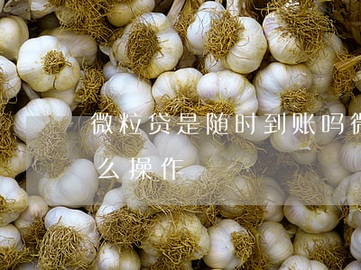 微粒贷是随时到账吗 微粒贷是随时到账吗怎么操作