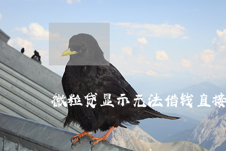 微粒贷显示无法借钱(直接放款到微信的借款)