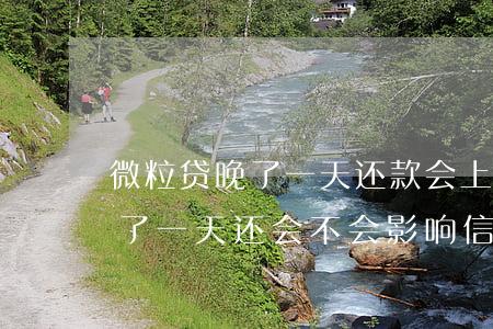 微粒贷晚了一天还款会上征信吗-微粒贷晚了一天还,会不会影响信用