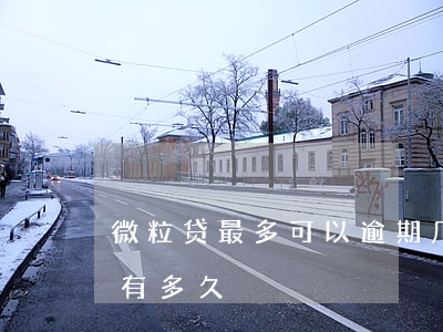 微粒贷最多可以逾期几天(微粒贷最多逾期的有多久)