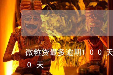 微粒贷最多逾期100天(微粒贷可以逾期10天)