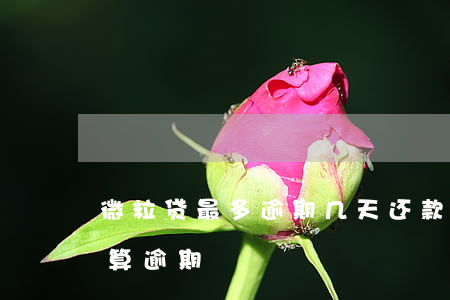 微粒贷最多逾期几天还款(微粒贷几天之内不算逾期)