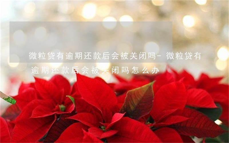 微粒贷有逾期还款后会被关闭吗-微粒贷有逾期还款后会被关闭吗怎么办