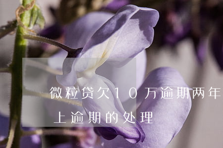 微粒贷欠10万逾期两年多(微粒贷欠十万以上逾期的处理)