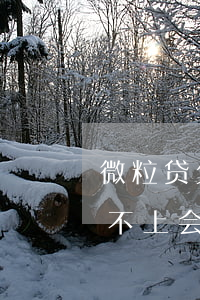 微粒贷欠13万有坐牢的吗(微粒贷欠六万还不上会坐牢吗)