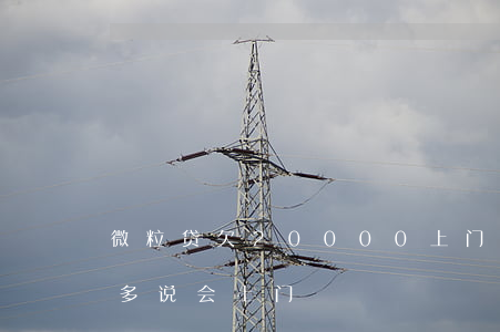 微粒贷欠20000上门(微粒贷欠4000多说会上门)