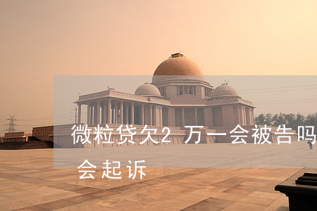 微粒贷欠2万一会被告吗(欠微粒贷一万会不会起诉)