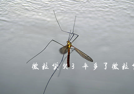 微粒贷欠3年多了(微粒贷三年没还怎样)