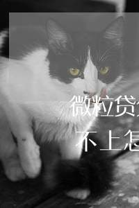 微粒贷欠4万还不上怎么办(微粒贷欠4万还不上怎么办)