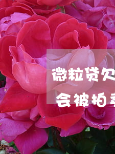 微粒贷欠8万多久会拍卖房产(贷款逾期多久会被拍卖)