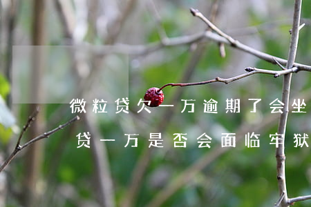 微粒贷欠一万逾期了会坐牢吗，逾期未还微粒贷一万，是否会面临牢狱之灾？