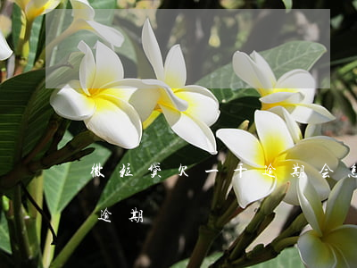 微粒贷欠一千逾期会怎么样(微粒贷欠两千多逾期)