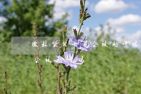 微粒贷欠七百会被起诉吗(微粒贷欠款几千块会被起诉吗)