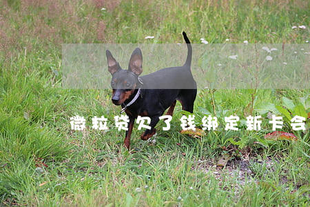 微粒贷欠了钱绑定新卡会扣钱嘛-