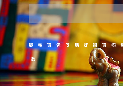 微粒贷欠了钱还能贷吗(微粒贷借过钱还能贷款?)