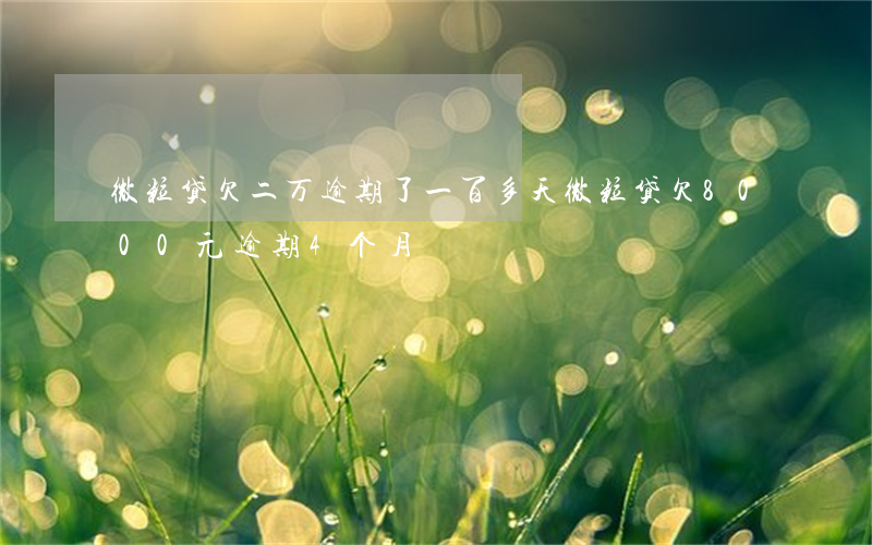 微粒贷欠二万逾期了一百多天(微粒贷欠8000元逾期4个月)