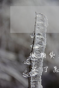 微粒贷欠五万还了三年(微粒贷欠款5万多还不了怎么办)