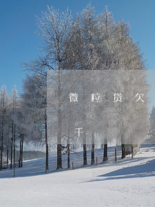 微粒贷欠几百块钱不还犯法吗(微粒贷欠了几千)