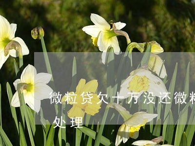 微粒贷欠十万没还(微粒贷欠十万以上逾期的处理)
