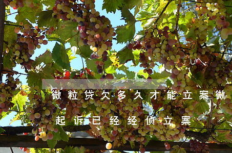 微粒贷欠多久才能立案(微粒贷逾期多久会被起诉已经经侦立案)