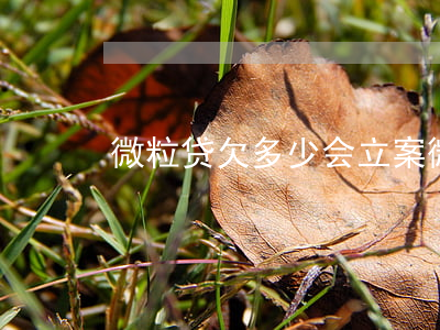 微粒贷欠多少会立案(微粒贷欠多久会被起诉)