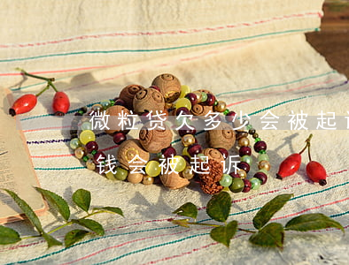 微粒贷欠多少会被起诉会坐牢(微粒贷欠多少钱会被起诉)