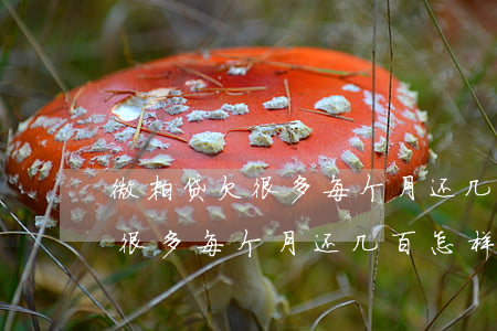 微粒贷欠很多每个月还几百怎样-微粒贷欠很多每个月还几百怎样还最划算