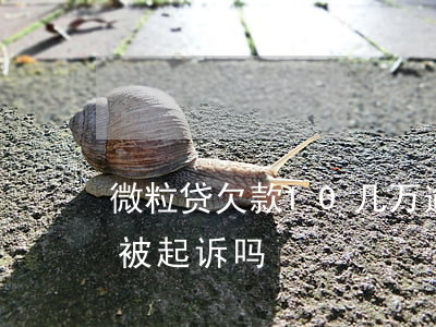微粒贷欠款10几万逾期(微粒贷逾期几千会被起诉吗)