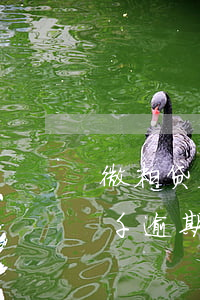 微粒贷欠款七千逾期一年怎样(微粒贷欠款七千逾期一年怎样)