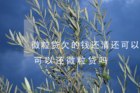微粒贷欠的钱还清还可以借嘛(微粒贷借的钱可以还微粒贷吗)