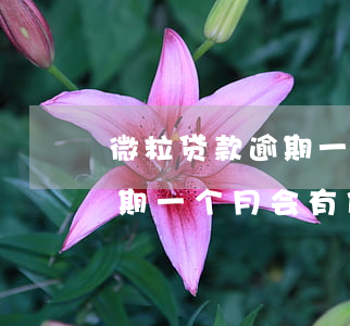 微粒贷款逾期一个月后果怎么样-微粒贷逾期一个月会有什么后果?,有奖问答