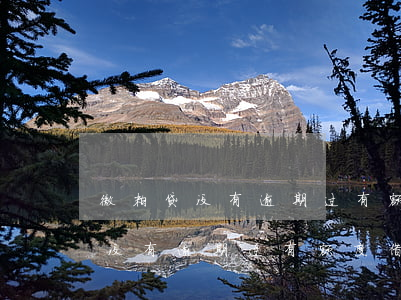 微粒贷没有逾期过有额度借不出来-微粒贷没有逾期过有额度借不出来怎么办