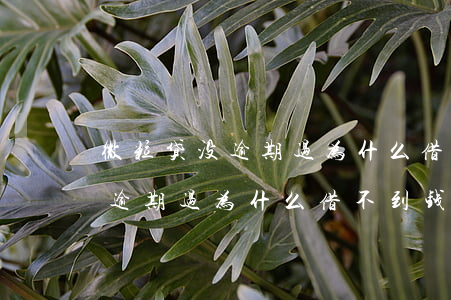 微粒贷没逾期过为什么借不到钱-微粒贷没逾期过为什么借不到钱了