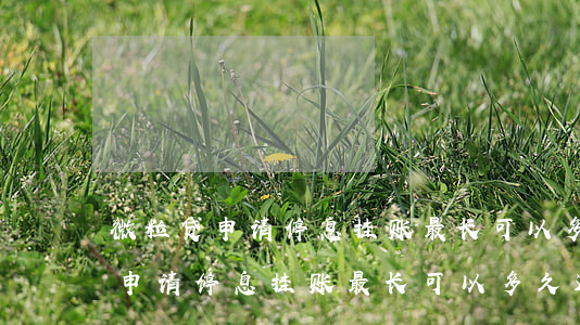 微粒贷申请停息挂账最长可以多久-微粒贷申请停息挂账最长可以多久还款