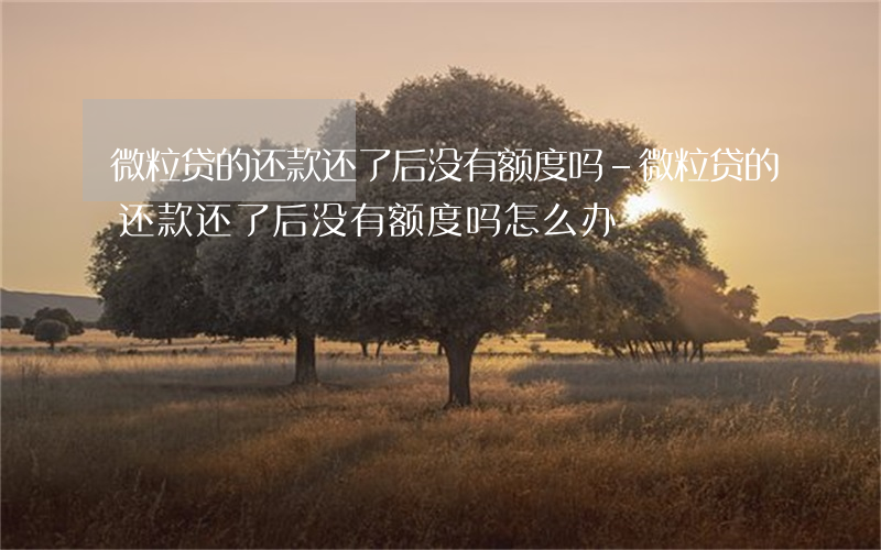 微粒贷的还款还了后没有额度吗-微粒贷的还款还了后没有额度吗怎么办