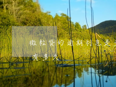 微粒贷的逾期利息是多少(微粒贷最多逾期的有多久)