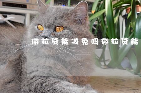 微粒贷能减免吗(微粒贷能申请减免利息吗)