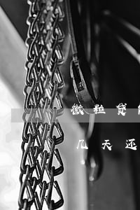微粒贷能够逾期几天还本金(微粒贷能够逾期几天还本金)