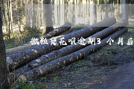 微粒贷花呗逾期3个月：后果及解决办法