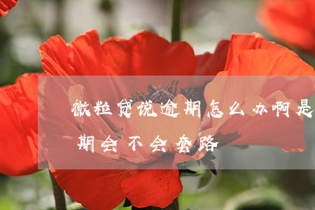 微粒贷说逾期怎么办啊是真的吗(微粒贷有逾期会不会套路)