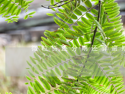 微粒贷还分期还算逾期吗(微粒贷分期还款)