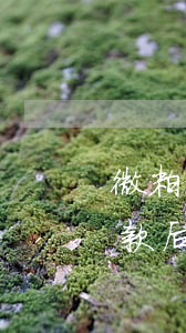 微粒贷还完为什么没有额度了，为何微粒贷还款后额度消失？