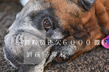 微粒贷还欠6000(微粒贷还欠800威胁到孩子学校)